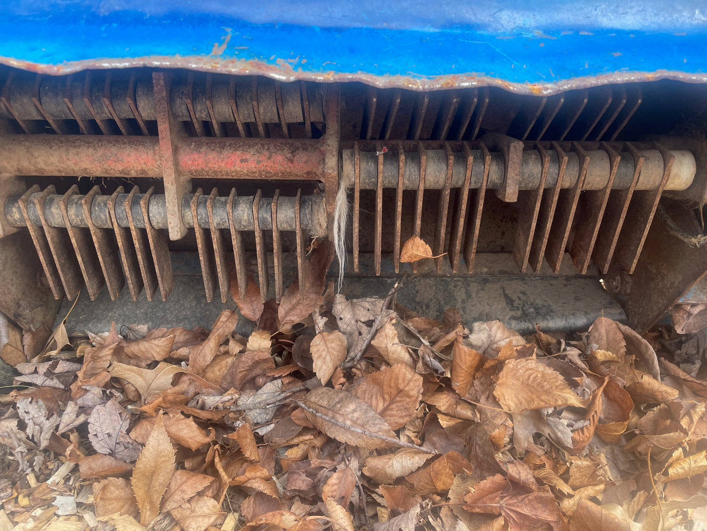 Bluebird Lawn Rake Thatcher