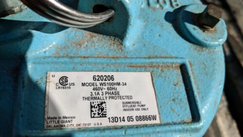 LITTLE GIANT WS100HAM-34 Submersible Effluent Pump